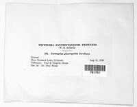 Image Associated With the Occurence